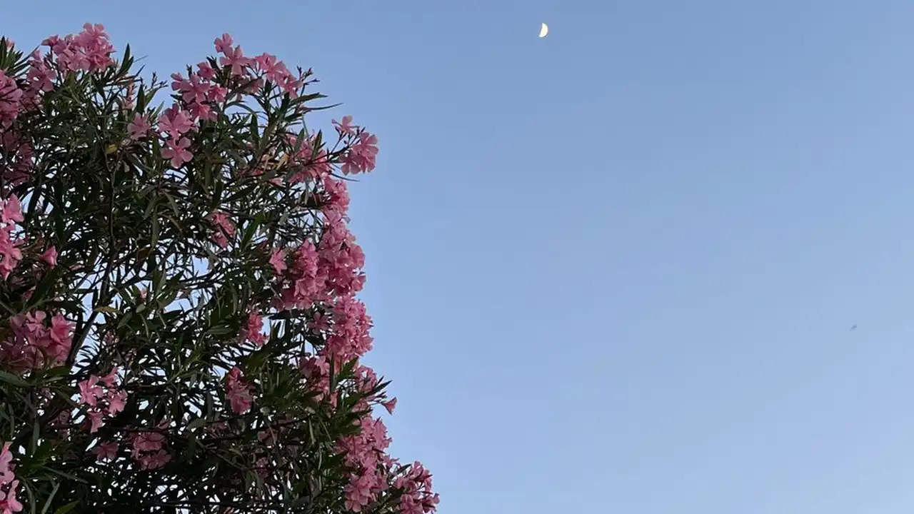 成人快手牌提升反应速度与娱乐性的绝佳选择